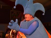 IHS Fasching