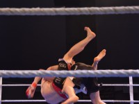 Fight Night Neubrandenburg