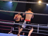Fight Night Neubrandenburg