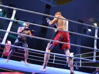 Fight Night Neubrandenburg