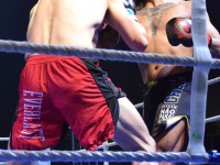 Fight Night Neubrandenburg