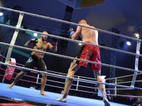 Fight Night Neubrandenburg