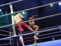 Fight Night Neubrandenburg