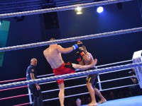 Fight Night Neubrandenburg