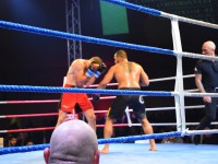 Fight Night Neubrandenburg