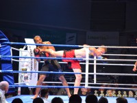 Fight Night Neubrandenburg