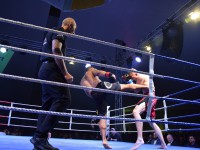 Fight Night Neubrandenburg