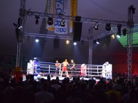 Fight Night Neubrandenburg