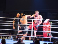 Fight Night Neubrandenburg