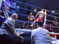 Fight Night Neubrandenburg