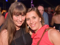 Bi-Vi Party
