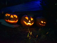 Halloween Queer Night