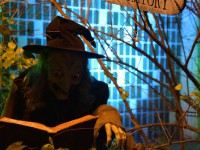 Halloween Queer Night