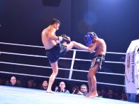 Neubrandenburger Fight Night