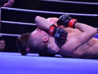 Neubrandenburger Fight Night