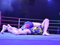 Neubrandenburger Fight Night