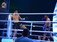 Neubrandenburger Fight Night