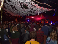 Detect Classic Festival