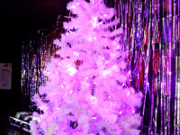 Pink! Party