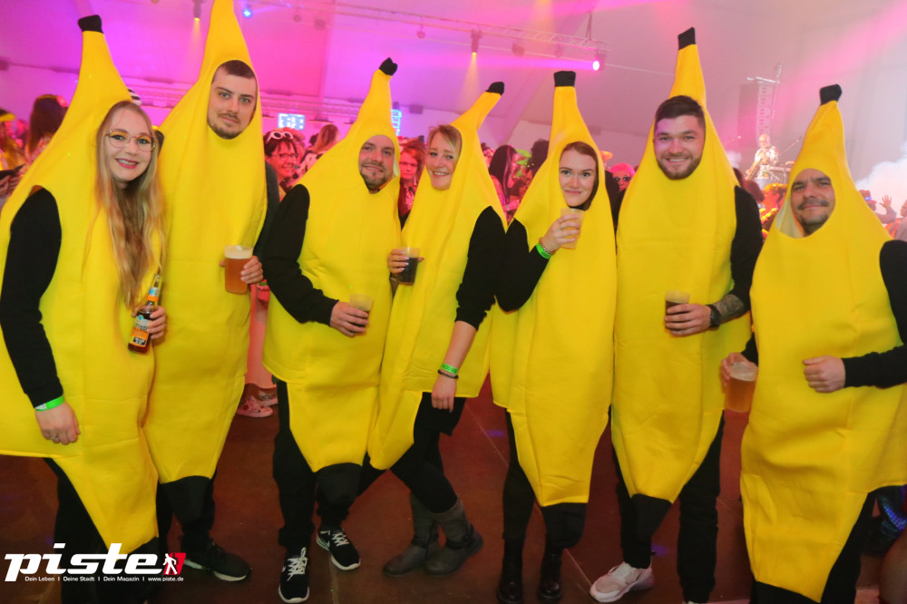 Gestört aber Geil Fasching