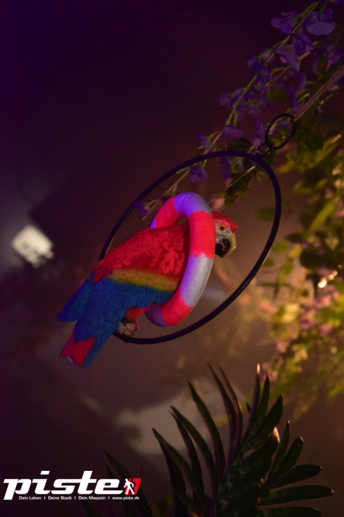 Lifebuoys Birthday Bash