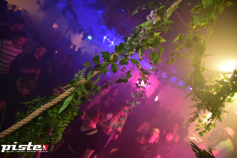 Lifebuoys Birthday Bash