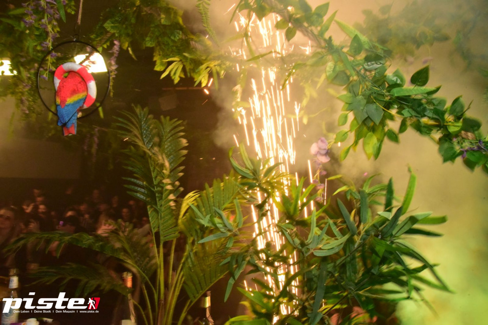 Lifebuoys Birthday Bash