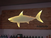 Sharks Winter Open Air After Show Party
