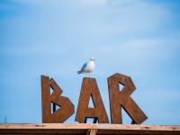 High Seaciety Festival