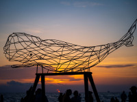 High Seaciety Festival