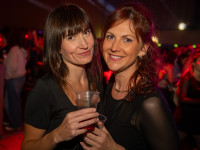 Und drinnen tanzt der Bär Galerie 1