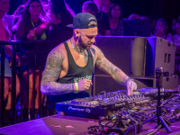 Und drinnen tanzt der Bär Galerie 1