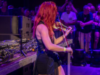 Und drinnen tanzt der Bär Galerie 1