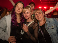 Und drinnen tanzt der Bär Galerie 1