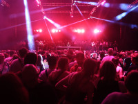 Und drinnen tanzt der Bär Galerie 2