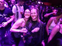 Und drinnen tanzt der Bär Galerie 2