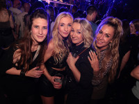 Und drinnen tanzt der Bär Galerie 2