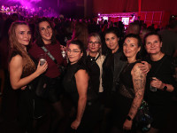 Und drinnen tanzt der Bär Galerie 2