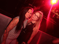 Und drinnen tanzt der Bär Galerie 2