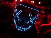 Und drinnen tanzt der Bär Galerie 2