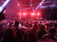 Und drinnen tanzt der Bär Galerie 2