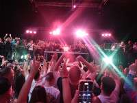 Und drinnen tanzt der Bär Galerie 2