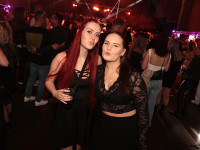 Und drinnen tanzt der Bär Galerie 2