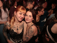 Und drinnen tanzt der Bär Galerie 2