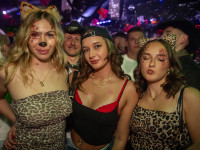 Große Halloween Partynacht