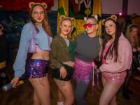 Karneval in Bad Doberan