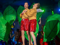 Karneval in Bad Doberan