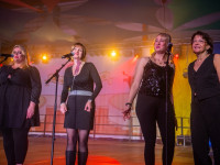Karneval in Bad Doberan