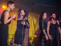 Karneval in Bad Doberan