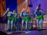 Karneval in Bad Doberan